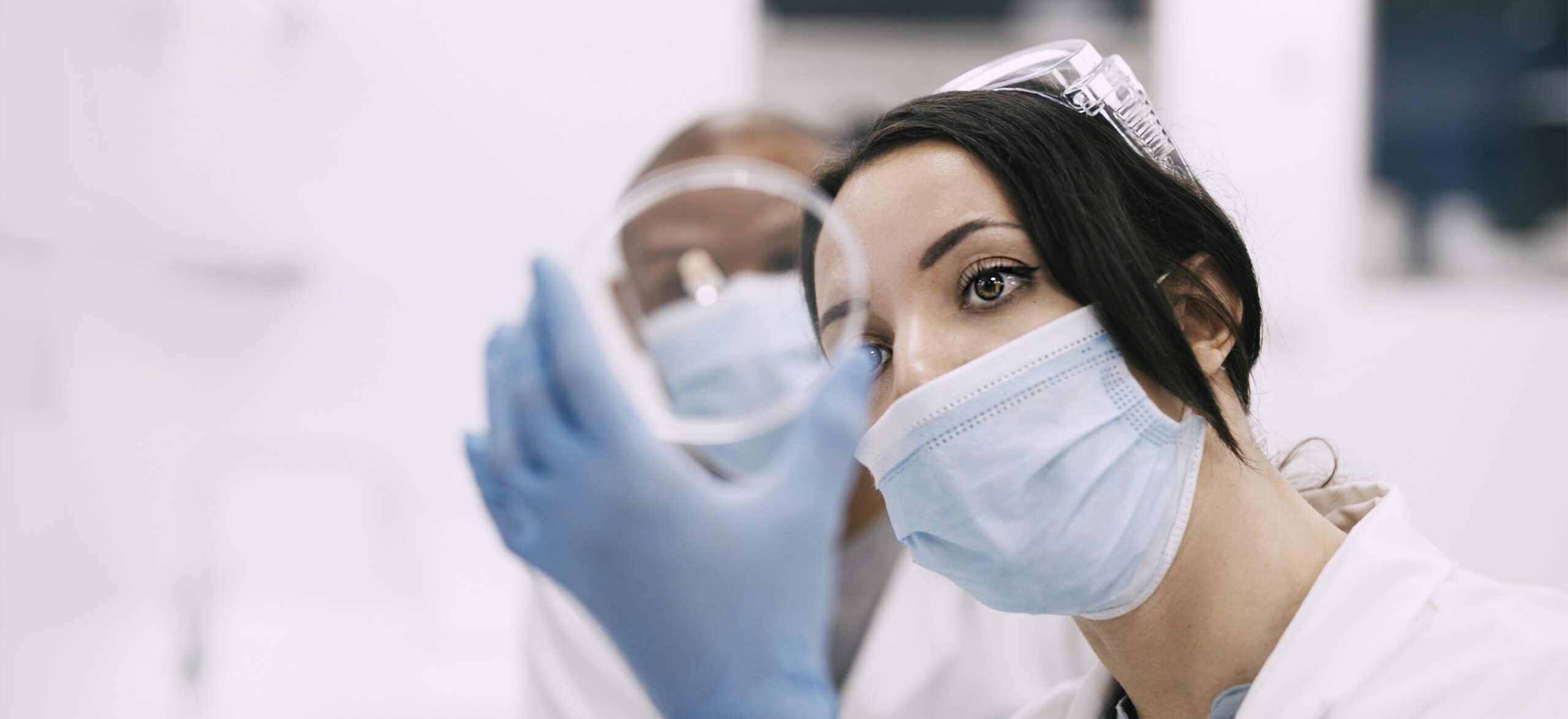 professional examining glass object